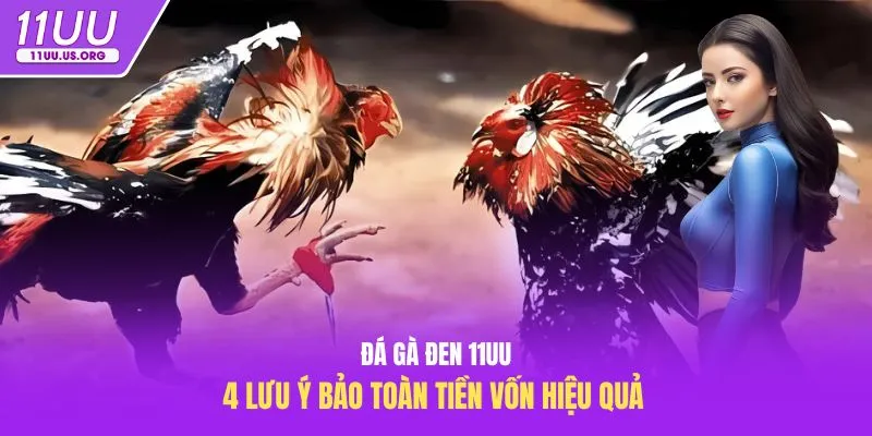 đá gà đen